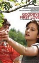 Elveda İlk Aşk Erotik Film Türkçe Dublaj izle