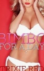 Silikon Meme Erotik Filmi izle